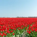 Wellness For Couples * Callantsoog