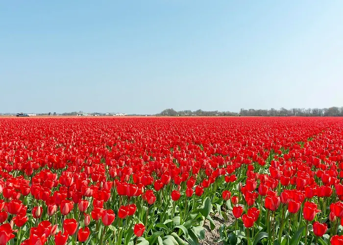 Wellness For Couples * Callantsoog